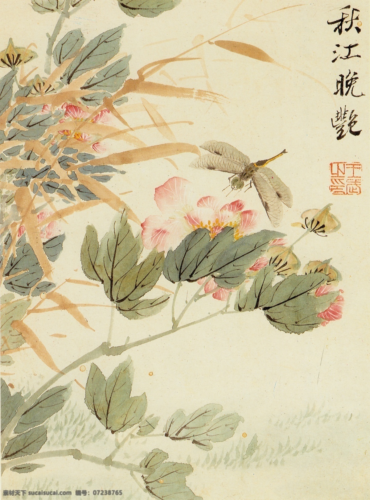 清 王武 花卉册 中国画 工笔画 工笔画鸟 工笔 古代 花鸟画 古画图 工笔画素材 国画 水墨工笔画 工笔画画稿 写意绘画 文化艺术 绘画书法 高清 工笔画展 历代古画