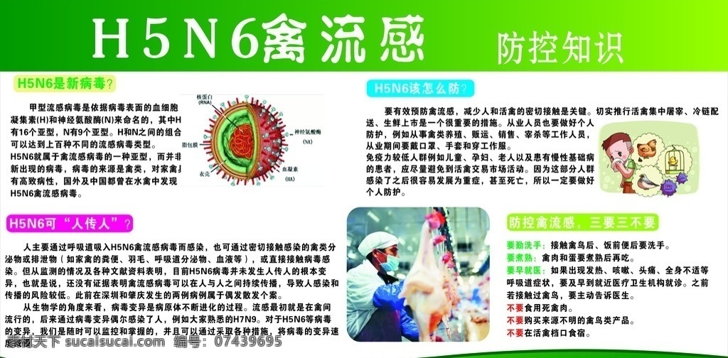 h5n6 禽流感 防治知识 新病毒 人传人 防控禽流感