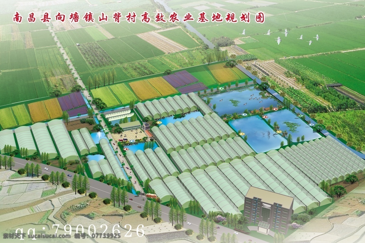 生态 农庄 鸟瞰图 大棚菜 园林规划 农业生态园 分层 源文件
