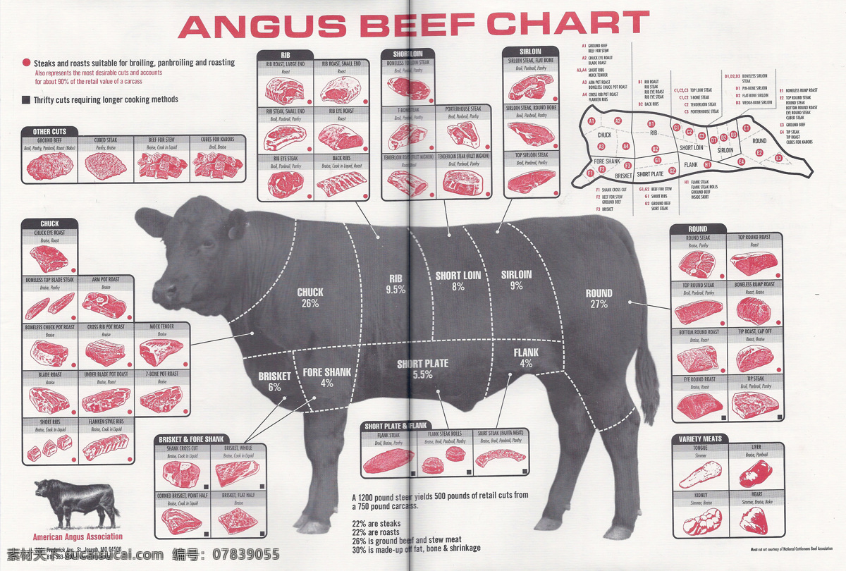 牛肉分割图 牛肉 分割 部位 澳洲 安格斯