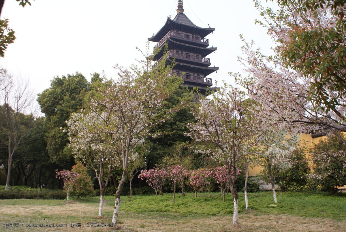 春天 塔顶 繁花 国内旅游 旅游摄影 宁波 春天塔顶 塔尖 掩映 psd源文件