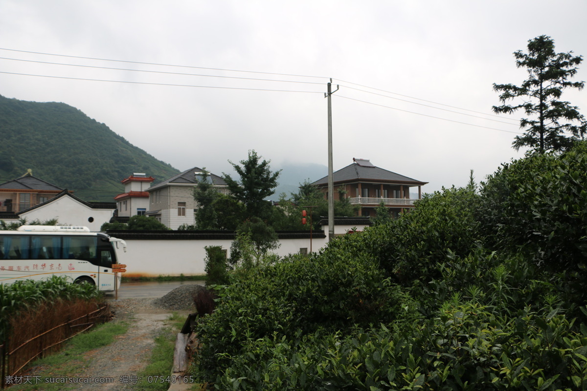 旅游 风景 乡村 杭州茶乡 新农村 茶乡 旅游摄影 国内旅游 白色