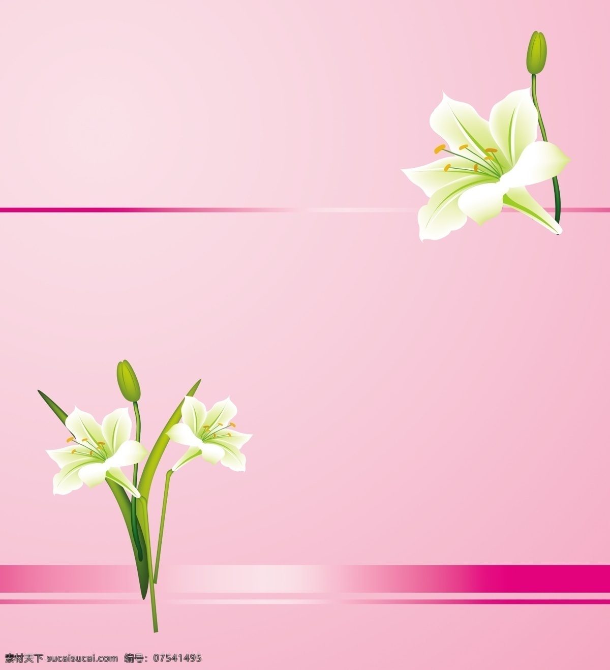 百合 百合花 粉红浪漫 粉红色底 粉色背景 广告设计模板 时尚花纹 线条 移门百合 粉色百合 千姿百态 移门 移门图案 源文件 家居装饰素材