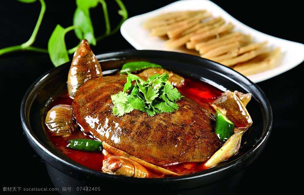 菜图 饭店 湘式 甲鱼 湘式甲鱼 炖甲鱼 餐饮美食 传统美食
