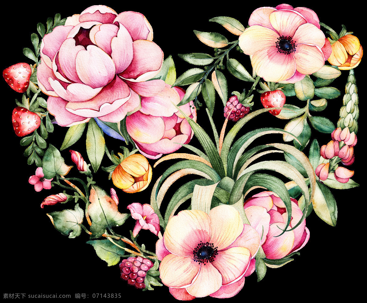 手绘花图片 手绘花 水彩花 铅笔画 月季 玫瑰花 高清 印花 粉色花 花卉 分层