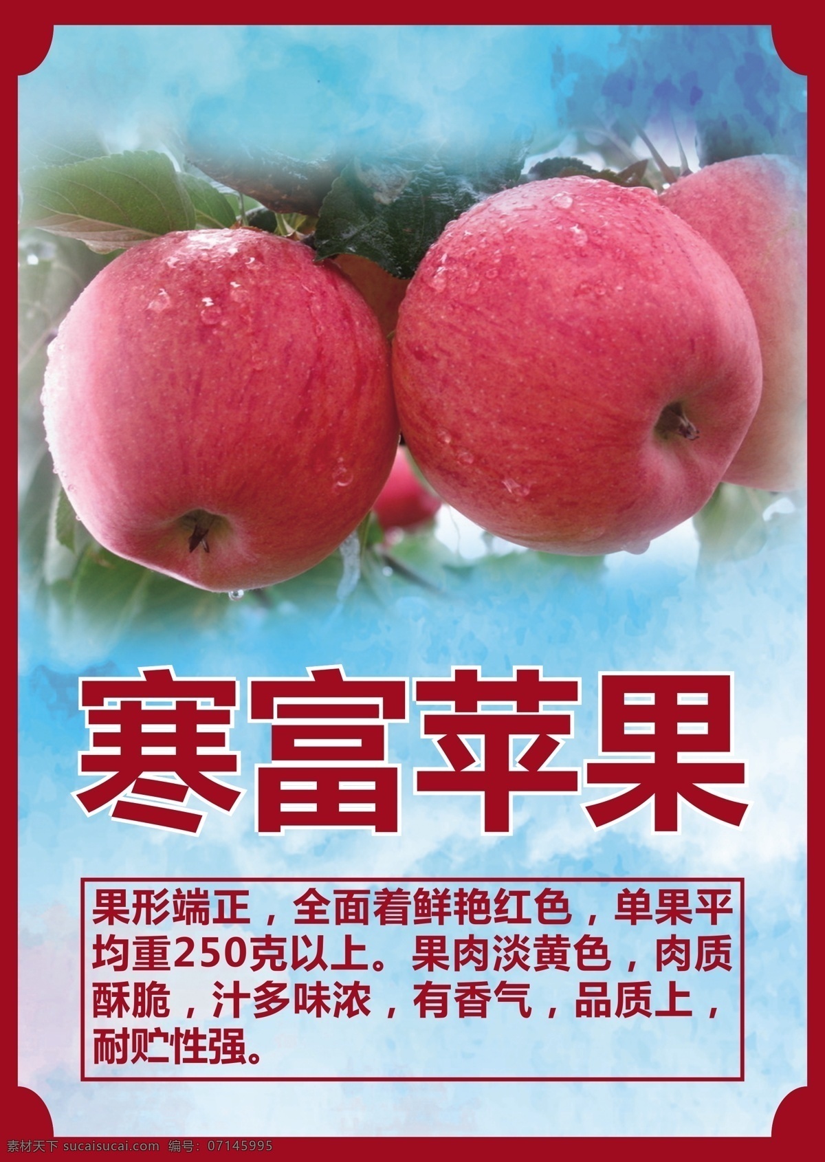 寒富苹果 a4 苹果介绍 特产水果 精品水果 宣传页 画册设计