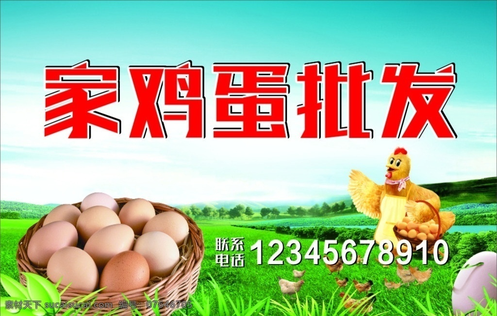 文字未转曲 鸡图片 鸡蛋海报 草平 母鸡 小鸡 家鸡蛋素材 展板模板