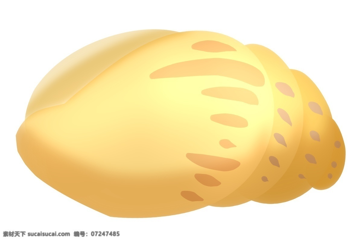 黄色海螺生物 黄色 海贝 贝壳