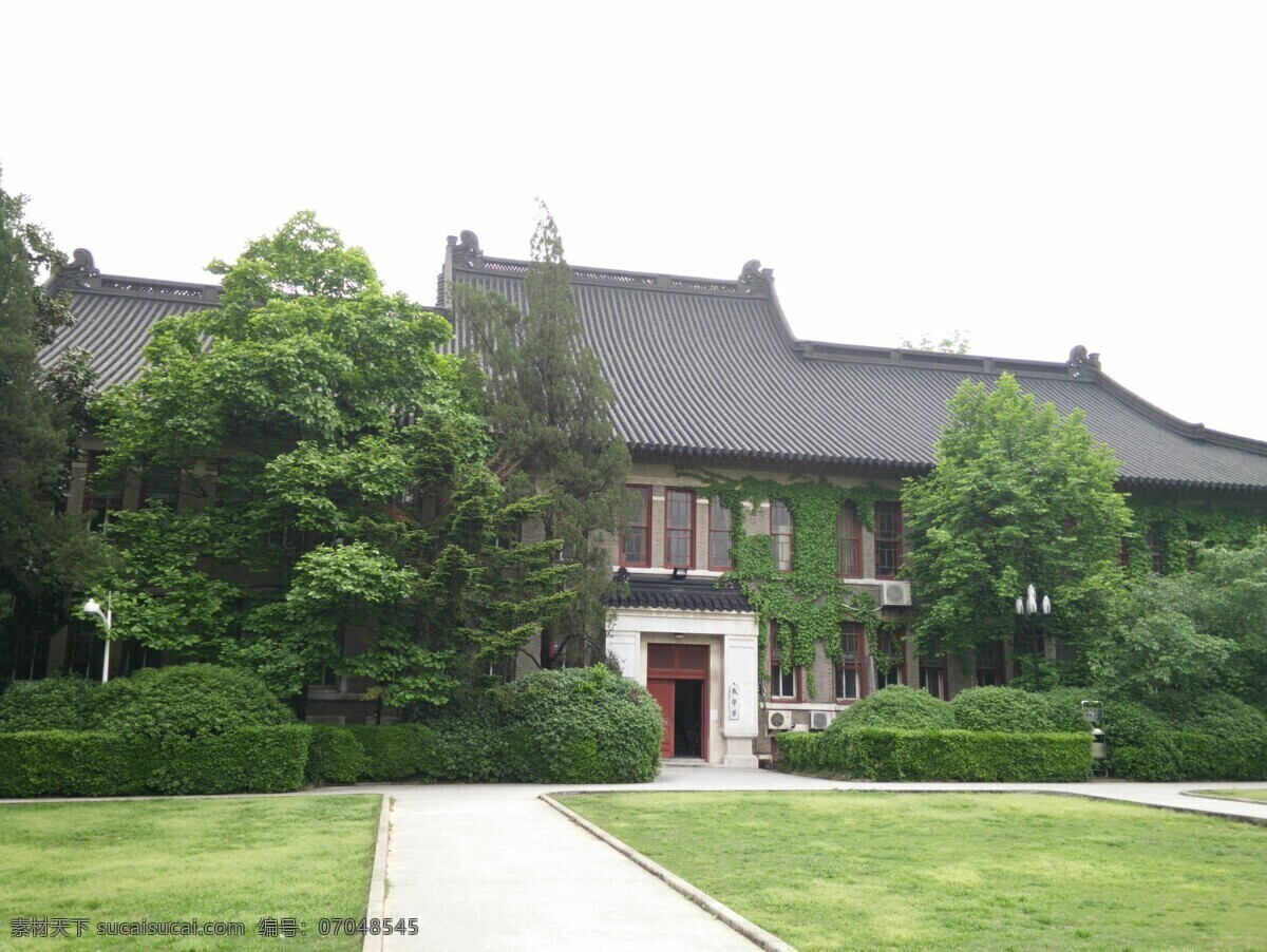 南京大学 春日 景观 花草 春意盎然 教学校园 自然景观 建筑景观