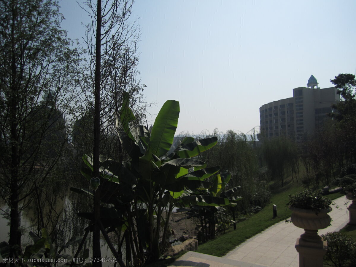 校园风景 重庆 南方 翻译 学院 大学风景 教学楼 树 蓝天 学校摄影 建筑摄影 建筑园林 黑色