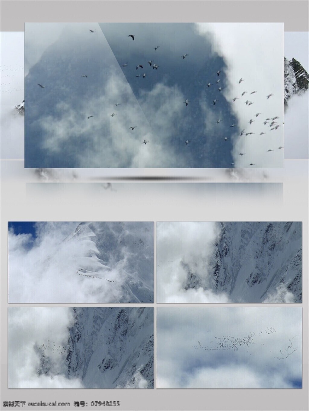 雁 热情 十足 视频 视频素材 飞翔 自由 蓝天 云朵 视频音效 过冬