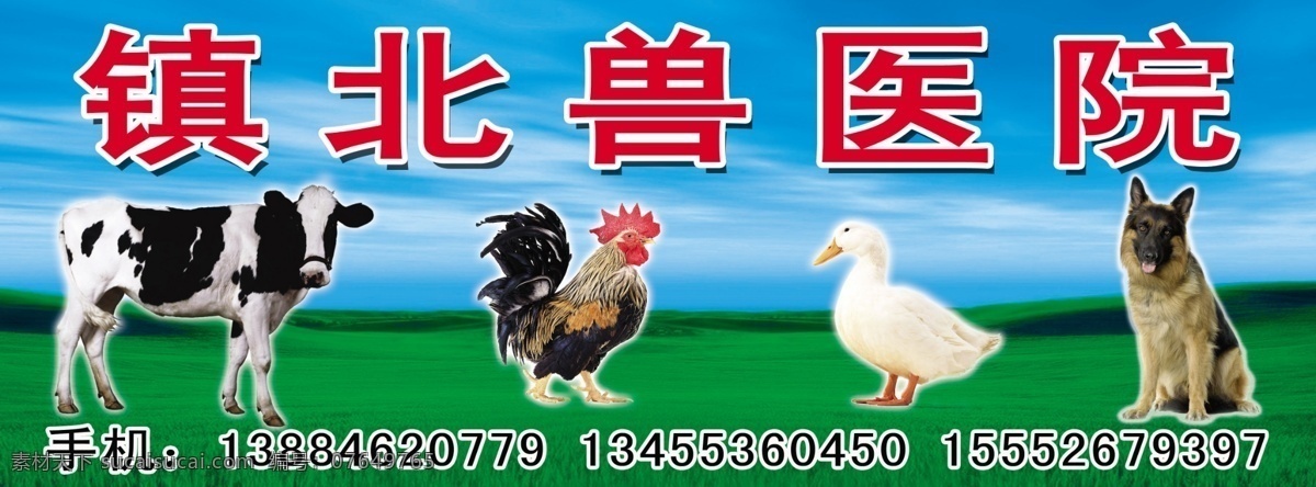 镇 北 兽医院 狗 广告设计模板 国内广告设计 鸡 奶牛 鸭 源文件 镇北兽医院 psd源文件