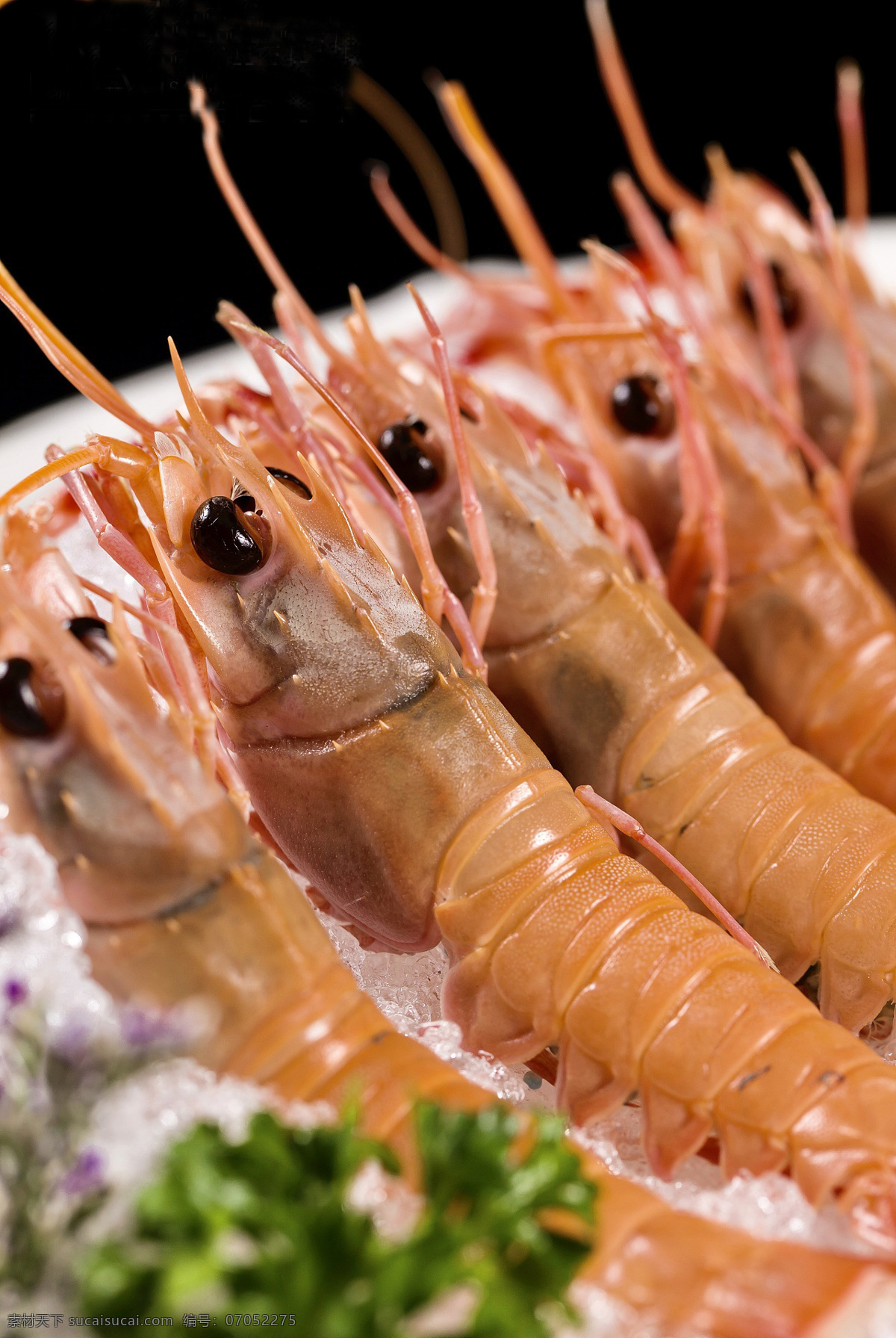 新鲜的龙虾 美味 新鲜 海鲜 龙虾 诱人 餐饮美食 食物原料