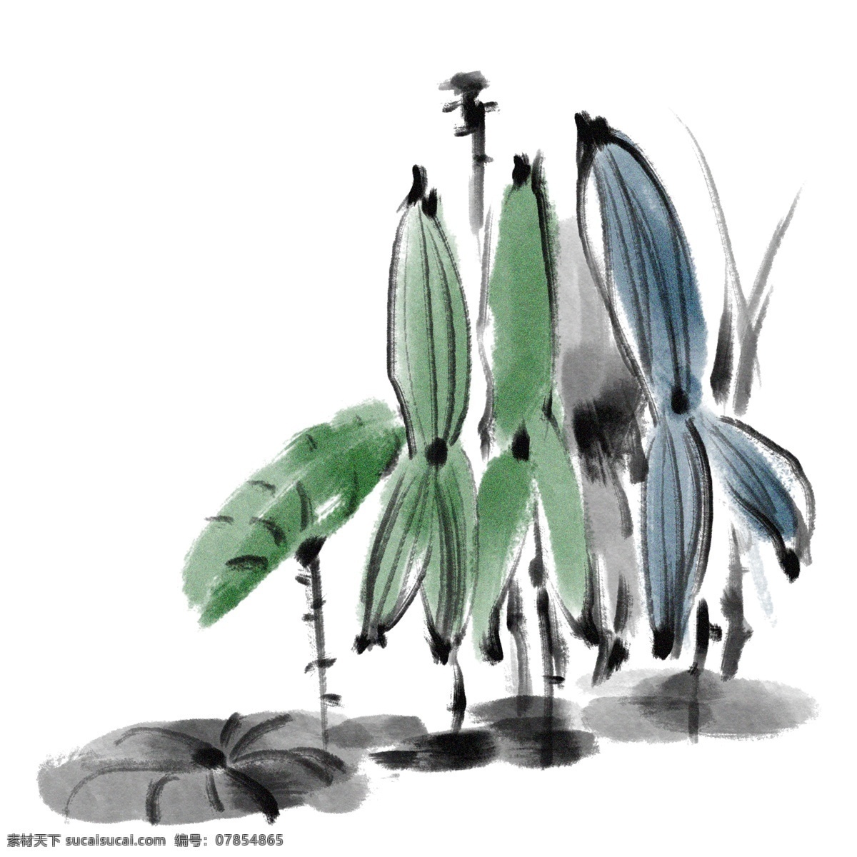 水墨 绿色 小 荷花 插画 绿色的荷叶 卡通插画 水墨插画 水墨植物 植物插画 花朵插画 水墨小荷花