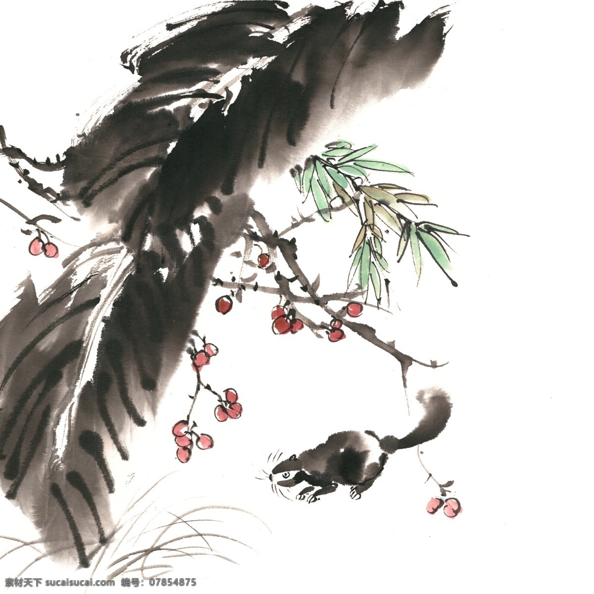 芭蕉 松鼠 水墨画 免 抠 水墨 国画 手绘 红果 果实 觅食 生机 生物 写意 免抠 淡雅 素淡 清幽 意境 绘画 逼真 写实