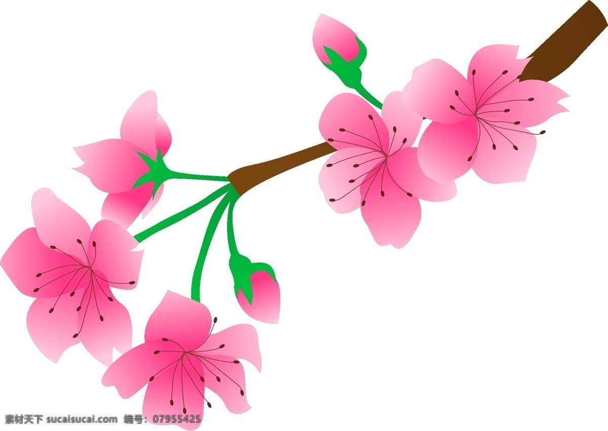 矢量 免 扣 粉色 桃花 免抠透明设计 粉色桃花 桃花树枝 花芯花蕊 花瓣 花卉花朵 玫瑰 桃花盛开 梅花 腊梅