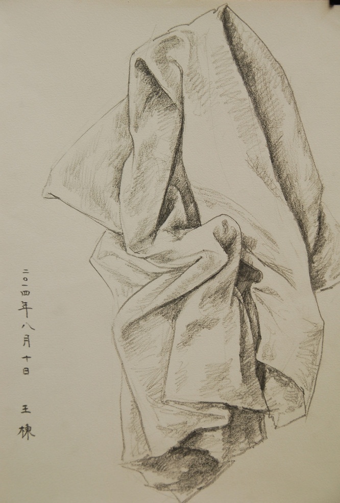 静物 速写 素描 王栋 美术 艺术 王栋素描 文化艺术 绘画书法