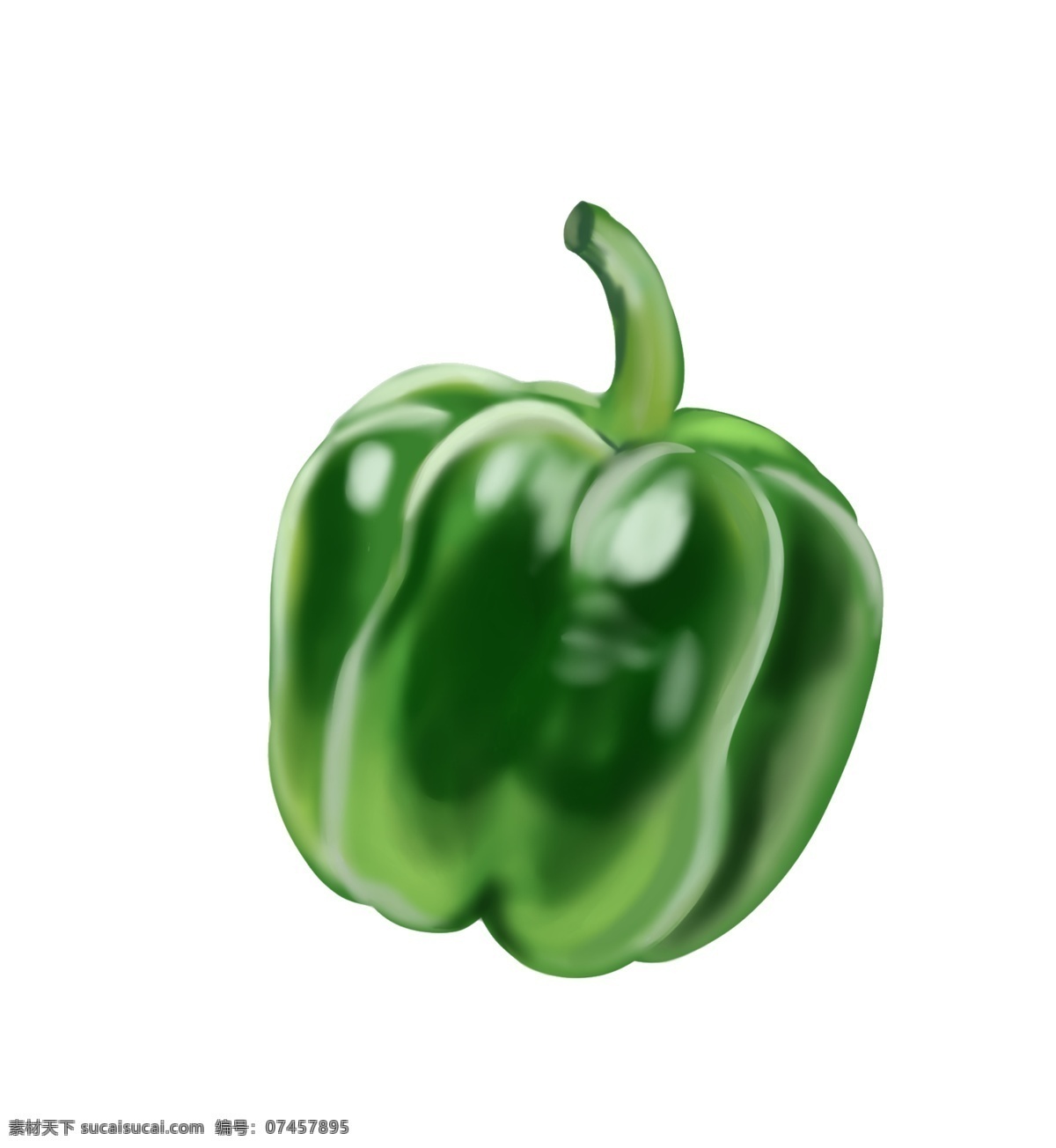 手绘 蔬菜 青椒 矢量图 食物 辣椒