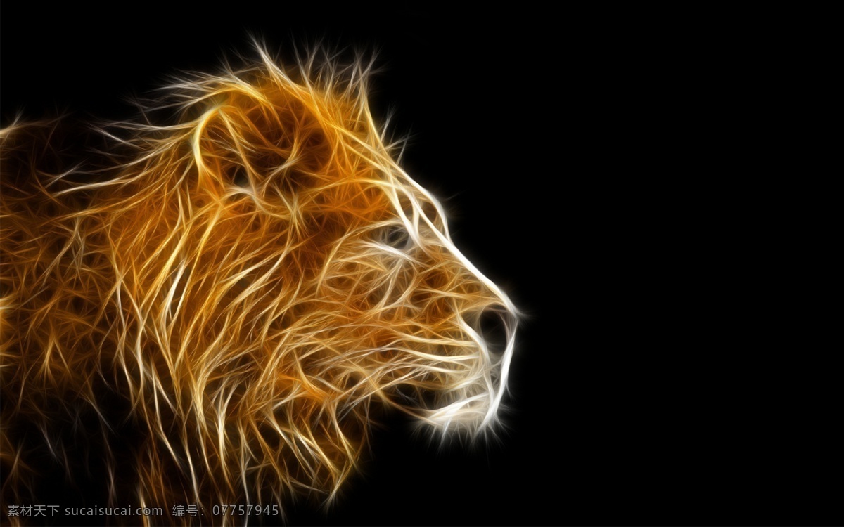 狮子 威猛雄狮 狮 王者风范 野生动物 生物世界 合成