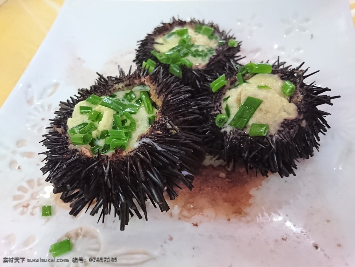 海胆蒸蛋 海胆 蒸蛋 海鲜 美食 食物 海产品 餐饮美食 传统美食