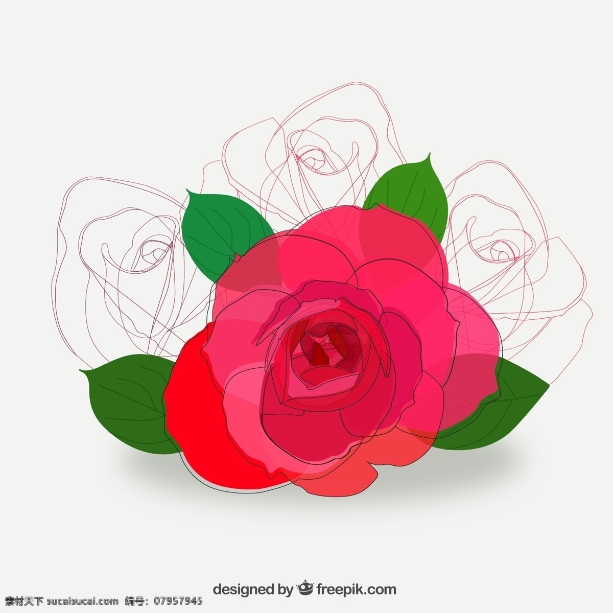彩绘 红色 玫瑰花 矢量 线条 红玫瑰 矢量图 矢量素材