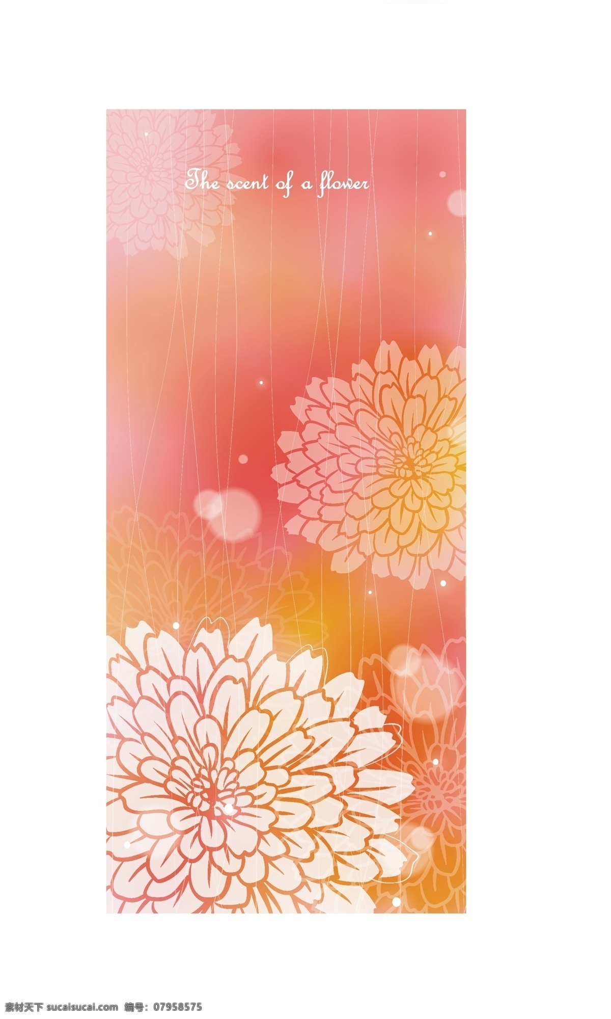 矢量 花卉 图案 精品 创意素材 底纹边框 花边花纹