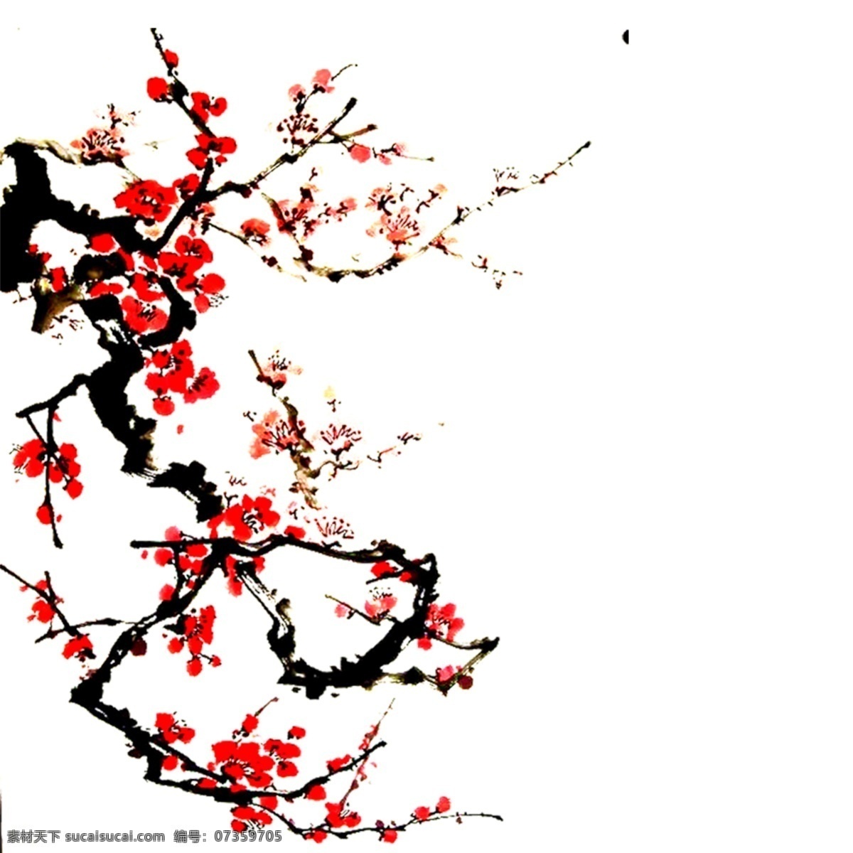梅花图 腊梅花 国画梅花 红梅花 水墨梅花 分层