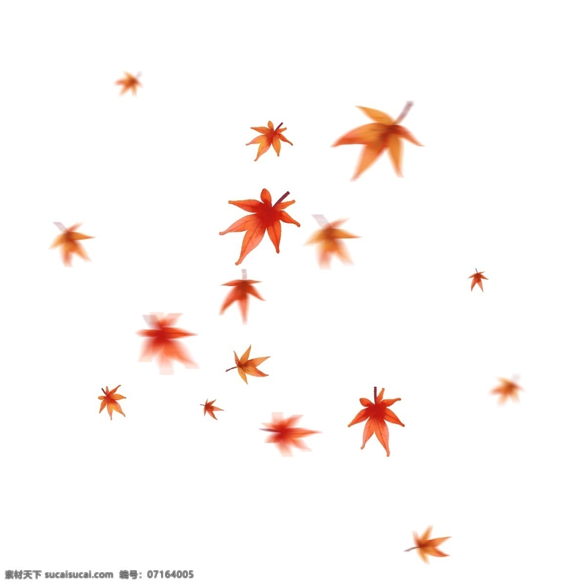 漂浮 枫叶 红色 叶子 飘落 橙红色 红色枫叶 橙红 唯美 漂浮的枫叶 漂浮的树叶 秋天 飞舞