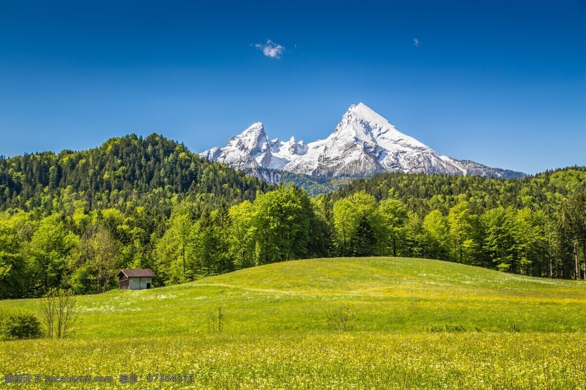 森林风景图片 自然景观 森林风景 行道树 行道树风景 自然风景 唯美风景 风景 风景图片 风景壁纸 大自然风景 自然风光 大自然风光 唯美图片 唯美壁纸 创意图片 植物 植物图片 绿色植物 花草树木 电脑壁纸 美景 美景图片 美景壁纸 旅游风景 森林 森林景观 森林植物