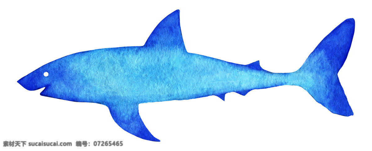 蓝色 发光 自由 鲨鱼 海洋 红色
