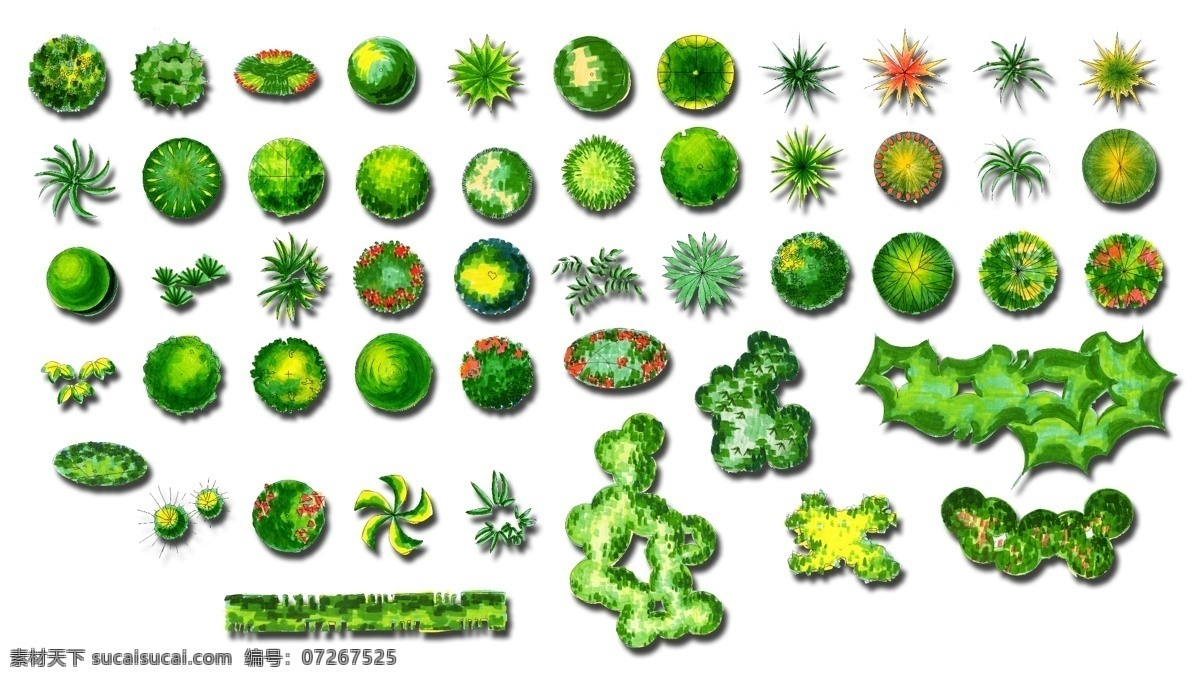 植物 图例 ps 园林设计 环境设计 源文件