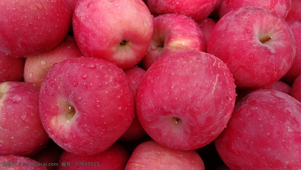 红苹果 好吃的苹果 圣诞苹果 美苹果 甜苹果 苹果 生物世界 水果