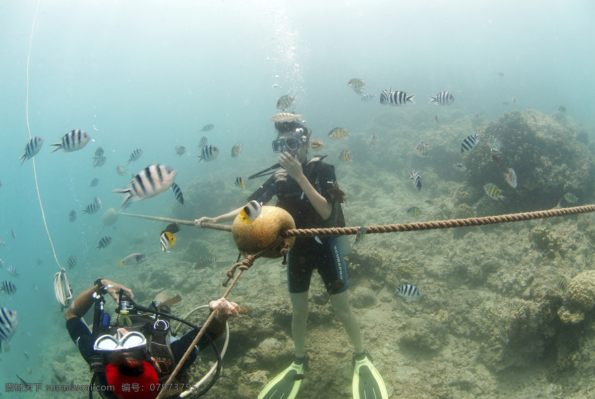 海底 打捞 海洋 探险 潜水员 海底景象 海底风景 海底景观 海底摄影 海底世界 海洋鱼类 浑浊的海水 自然景观 自然风景 深海潜水 摄影图库