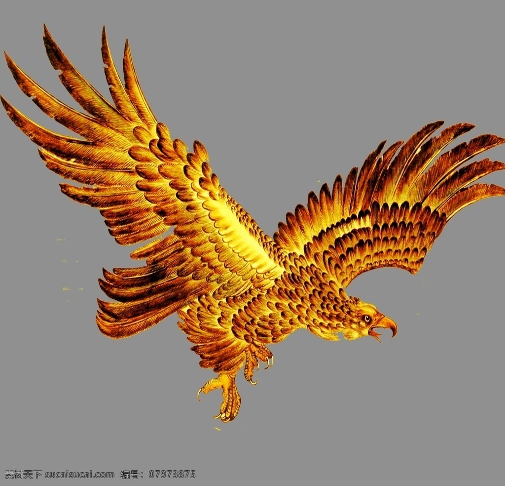 金鹰图片 金鹰 火凤凰 老鹰 鹰 工笔画鹰 插画鹰 飞鹰 雕 双鹰 透明底 免抠图 分层图 透明背景 动物 苍鹰 白头鹰 鸟 喙 凤头 秃鹫 黑鸟 猛禽 雄鹰 雄鹰展翅 雄心壮志 宏图大展 高远 飞翔 自然 野生动物 狩猎 翅膀 翱翔 捕食者 展翅高飞 卡通 透明 底 生物世界 鸟类