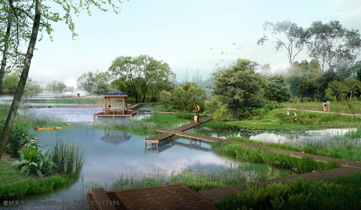 湿地公园 景观效果图 湿地效果图 透视景观 公园效果图 3d设计 3d作品