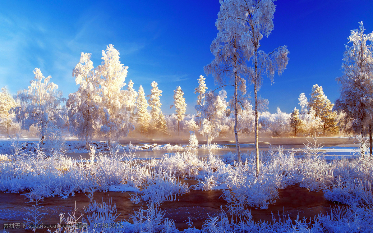 冬天风景摄影 冬天 下雪 结霜 白茫茫 雪地 唯美冬天 自然景观 山水风景