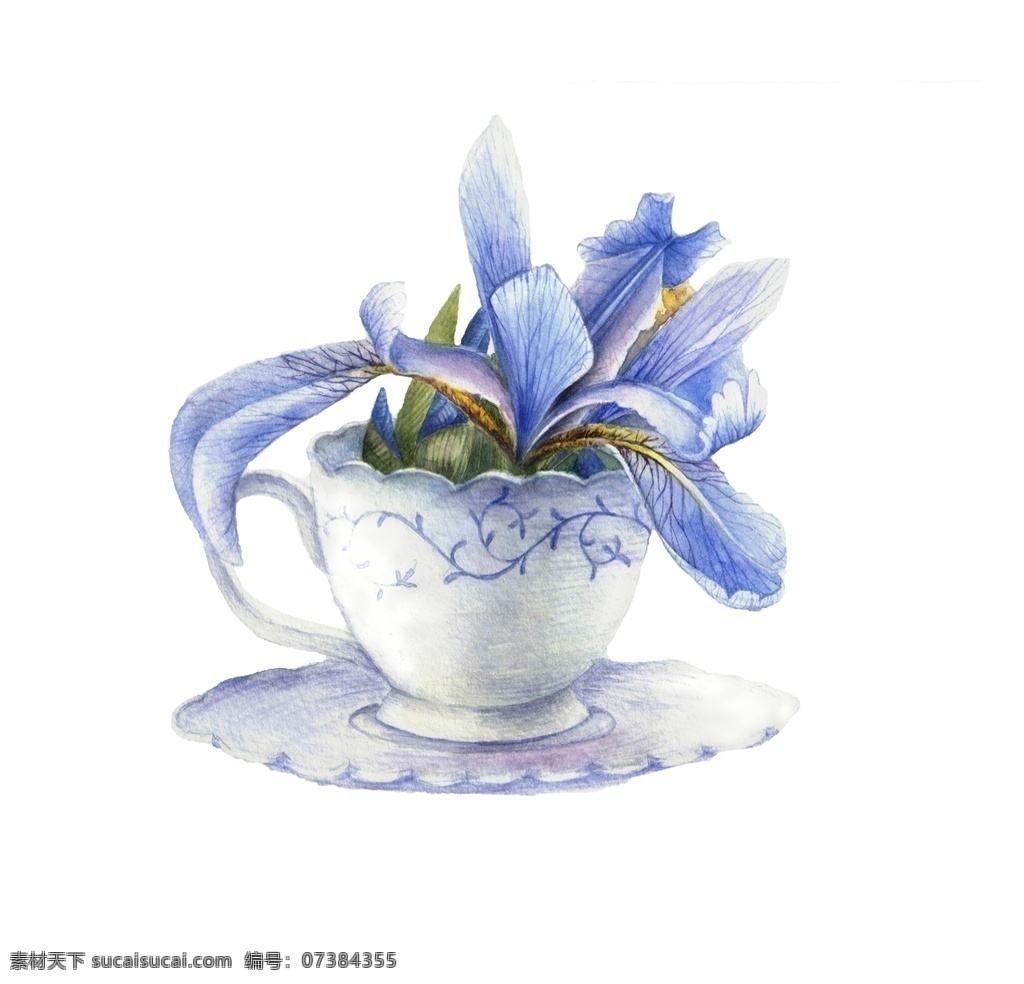 植物 花朵 绘画 植物图谱 工笔画 花朵绘画 鲜花绘画 树叶 树枝 玫瑰花 月季花 水仙花 精美绘画 水彩绘画 彩铅绘画 植物绘画 装饰画 装饰图案 临摹素材 复古绘画 装饰画芯 多肉植物 花瓶 文化艺术 绘画书法