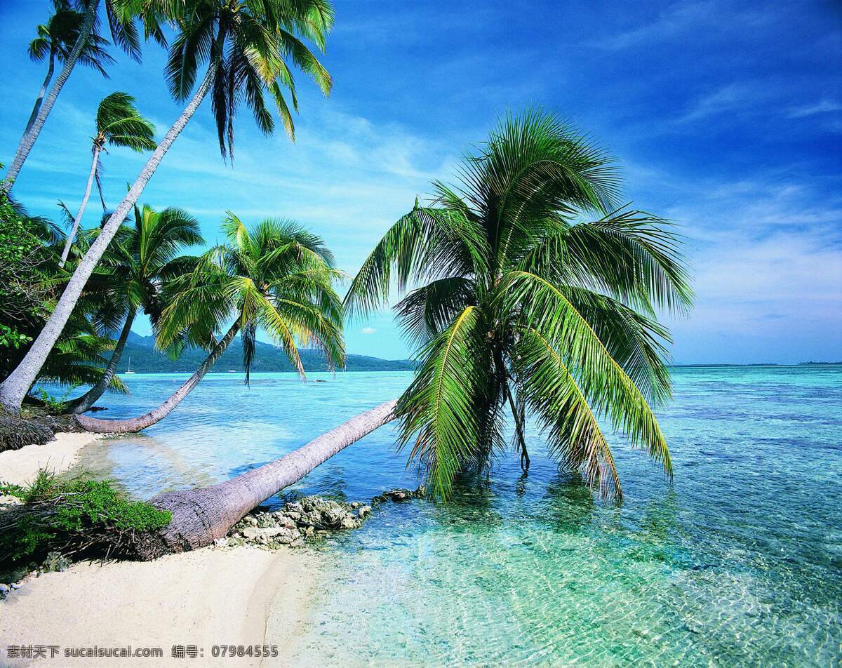 海边 椰树 风景 图 大海 旅游摄影 自然风景 摄影图库