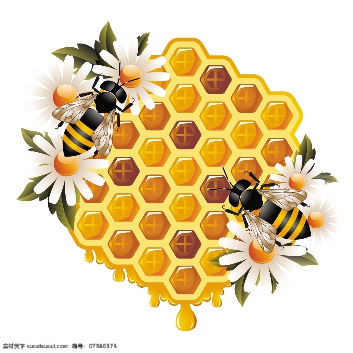 蜜蜂鲜花蜂巢 蜜蜂 鲜花 蜂巢 绿叶 菊花 花朵 花卉 时尚 潮流 梦幻 背景 底纹 矢量 蜜蜂主题 昆虫 生物世界