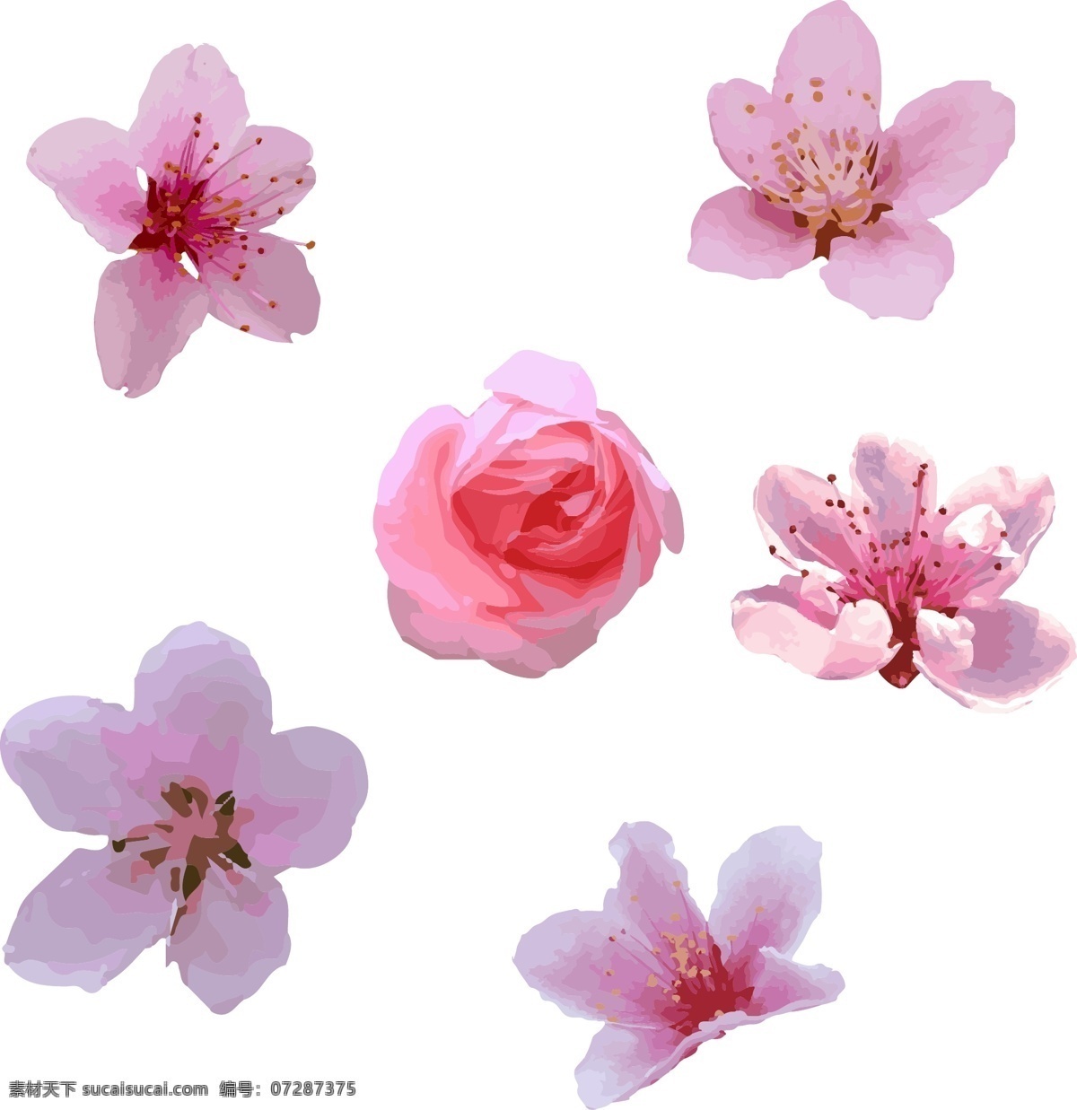 简约 清新 水彩 风 桃花 矢量 元素 春天 春季 花朵 四月 花 赏花 花季 三月 水彩风 简约清新 桃花矢量