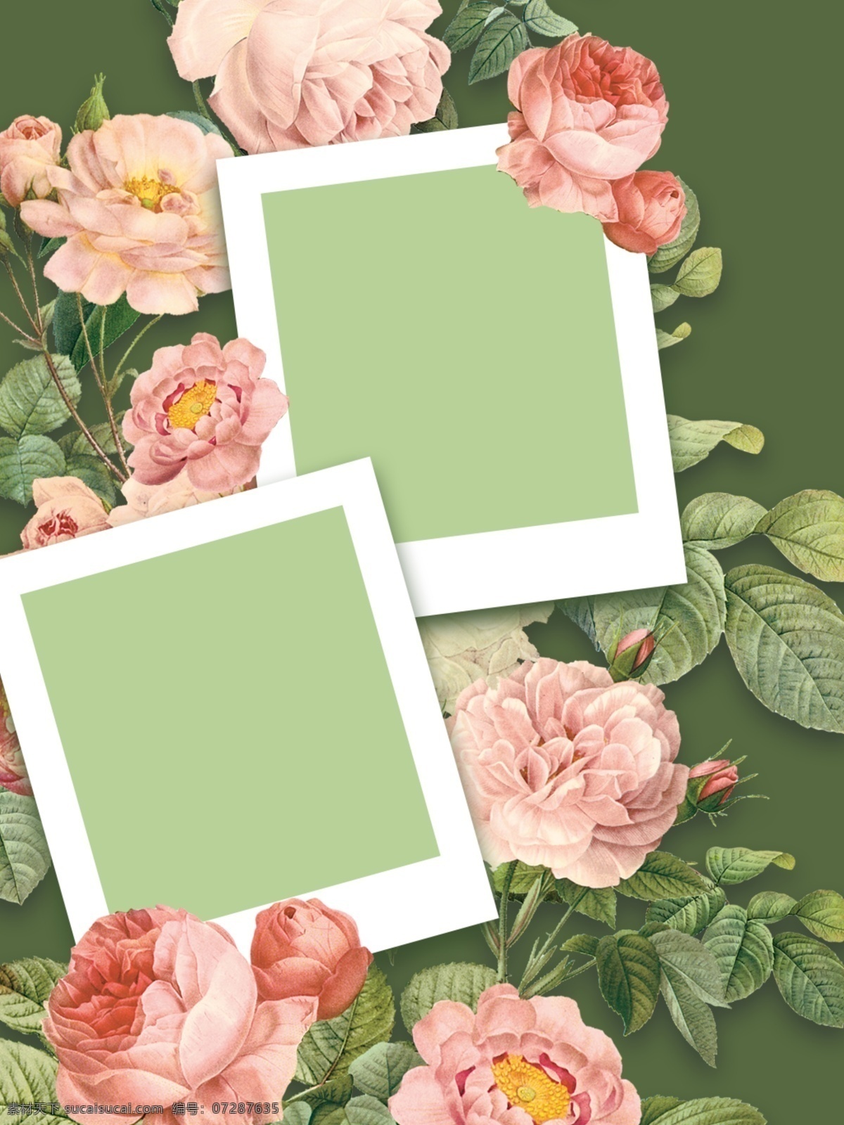 全 原创 花卉 相片 框 背景 花卉植物 植物 花卉背景 相片框 鲜花绿植
