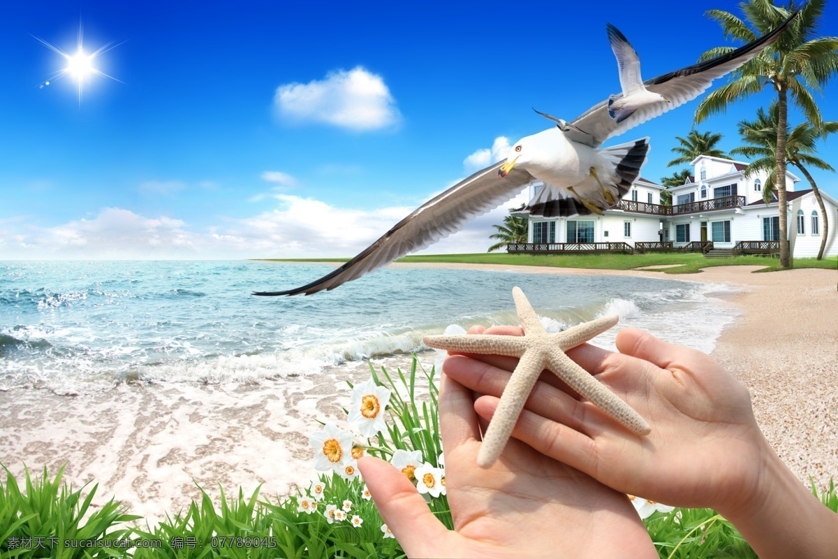 夏日 海岛 度假 沙滩 背景 源文件 海鸥 花草 椰树 别墅 装饰图案