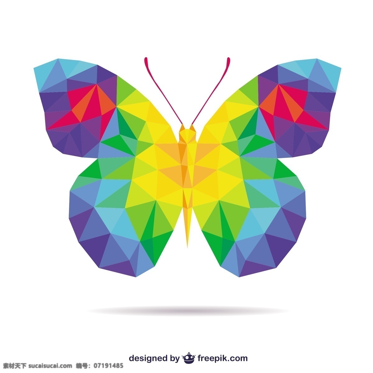 多边形的蝴蝶 几何 蝴蝶 动物 丰富多彩 多边形 昆虫 着色 白色
