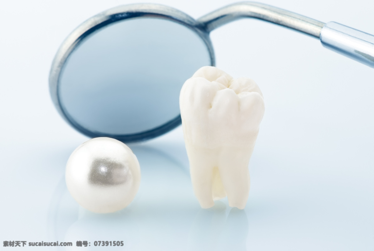 牙齿 珍珠 牙齿模型 牙科 牙医 医疗 医疗工具 医疗设备 医疗主题 医疗护理 现代科技