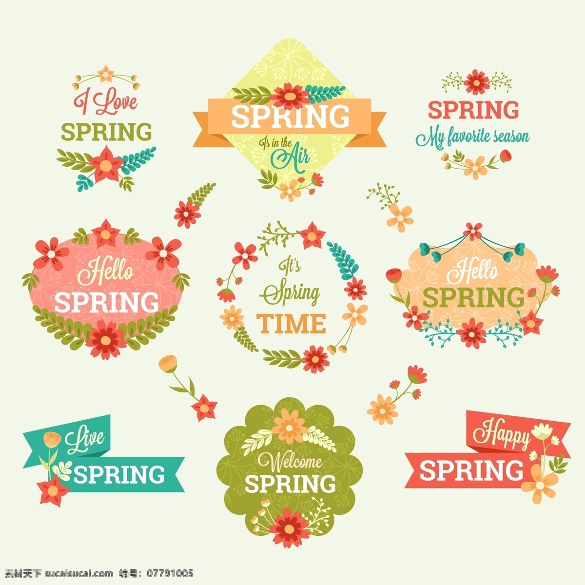 春季徽章收藏 花 徽章 自然 春天 标签 树叶 植物 春天的花朵 问候 季节问候 美丽 季节 盛开 白色