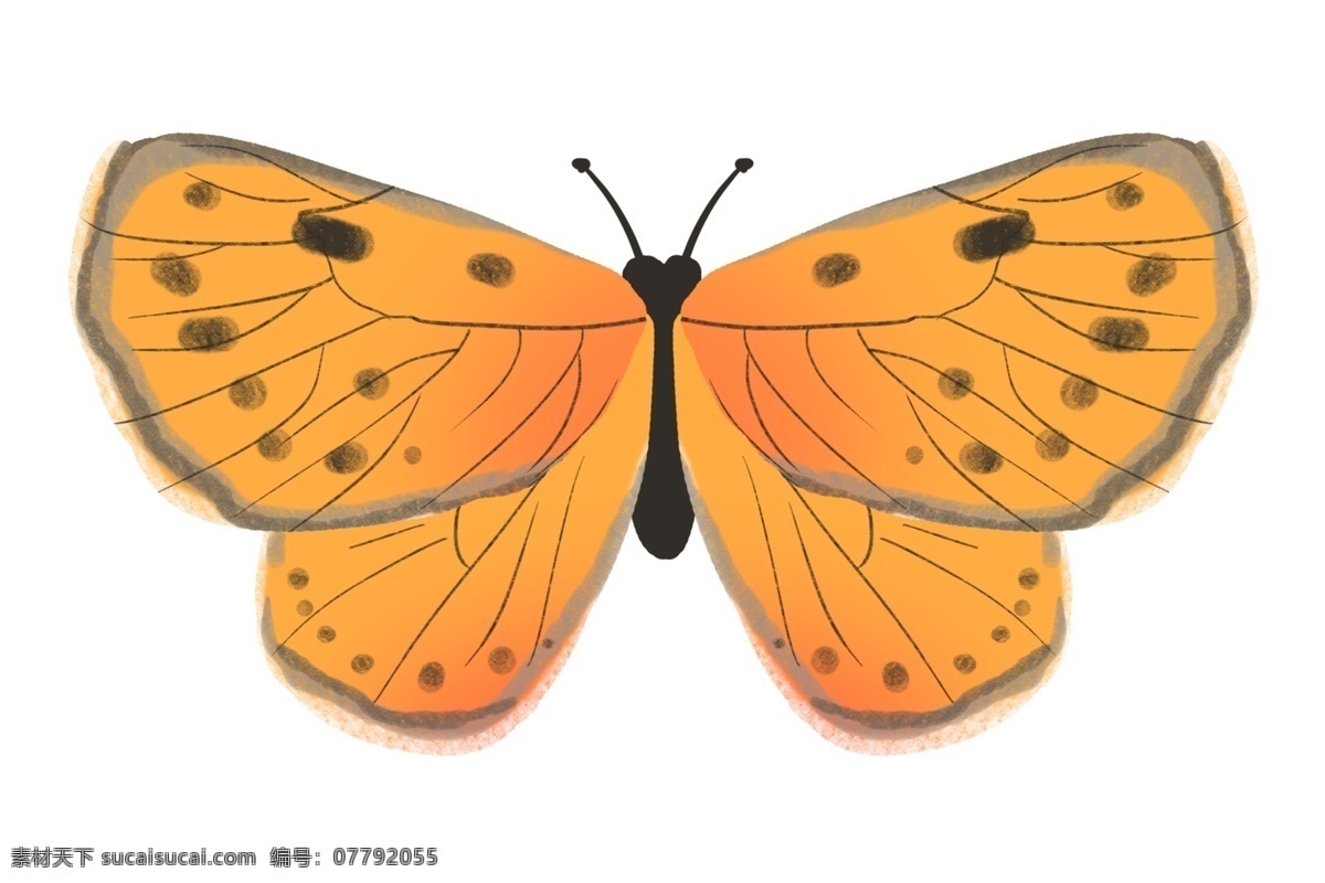 黄色 蝴蝶 卡通 插画 黄色的蝴蝶 卡通插画 蝴蝶插画 益虫 动物插画 动物蝴蝶 昆虫 飞行的蝴蝶
