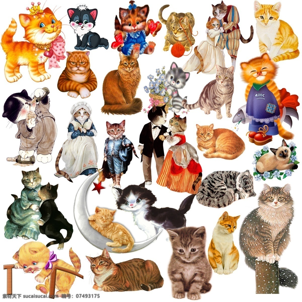 可爱 小猫 绅士猫咪 线团 花篮 月亮 家猫 卡通猫 领结