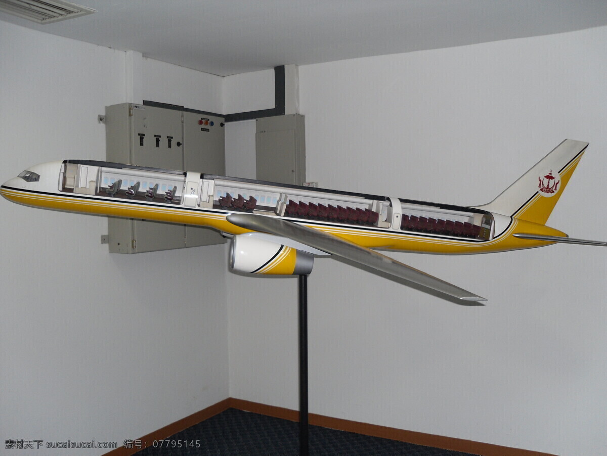 文莱 皇家 航空 飞机模型 飞机 模型 娱乐休闲 生活百科