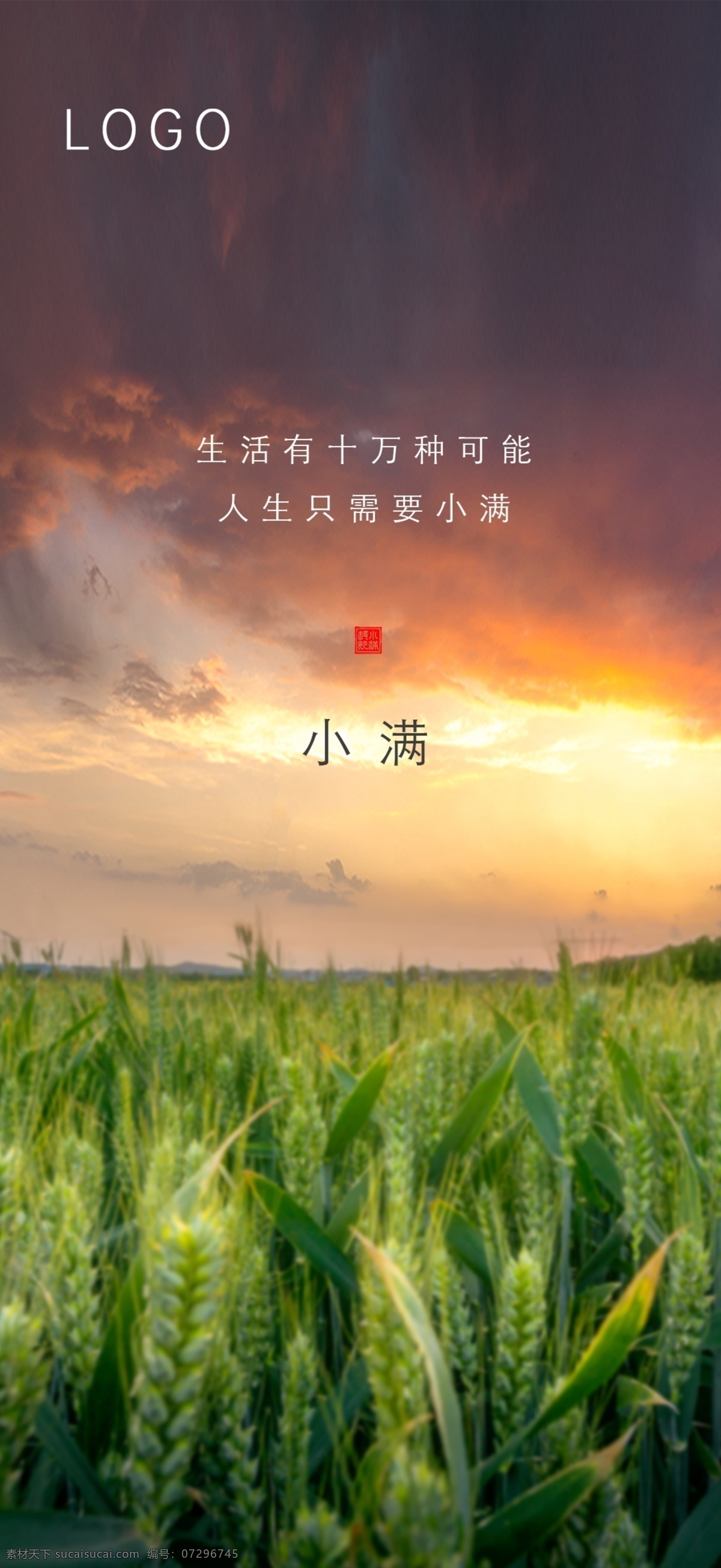 小满 二十四节气 中国传统 小麦 节气