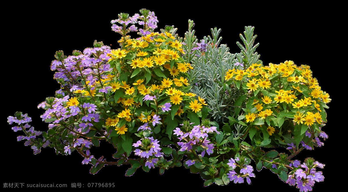 户外 茂盛 花 草丛 堆 透明 花朵 黄色 绿草 免扣素材 透明素材 装饰图片 紫色